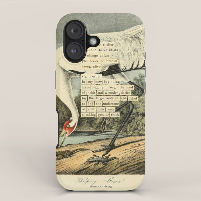 Bird Divinations: Whooping Crane (about: almanacofbirds.org) iPhone Case Gallery Image 1