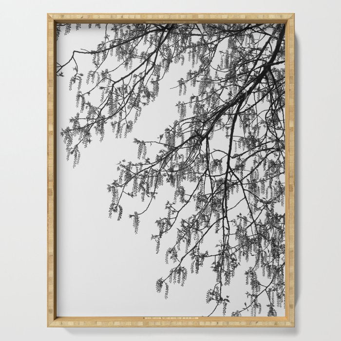 Wisteria Tree Art Print - Black and White Nature Photography Serving Tray Gallery Image 1