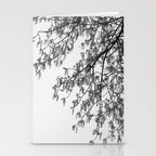 Wisteria Tree Art Print - Black and White Nature Photography Stationery Card Gallery Image 2