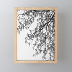Wisteria Tree Art Print - Black and White Nature Photography Mini Art Print Gallery Image 1