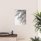 Wisteria Tree Art Print - Black and White Nature Photography Poster Gallery Image 2