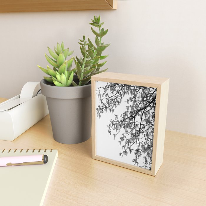 Wisteria Tree Art Print - Black and White Nature Photography Mini Art Print Gallery Image 2