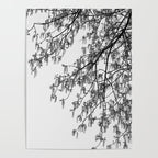 Wisteria Tree Art Print - Black and White Nature Photography Poster Gallery Image 4