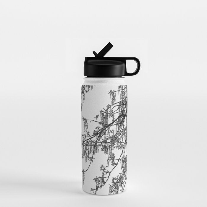 Wisteria Tree Art Print - Black and White Nature Photography Water Bottle Gallery Image 1
