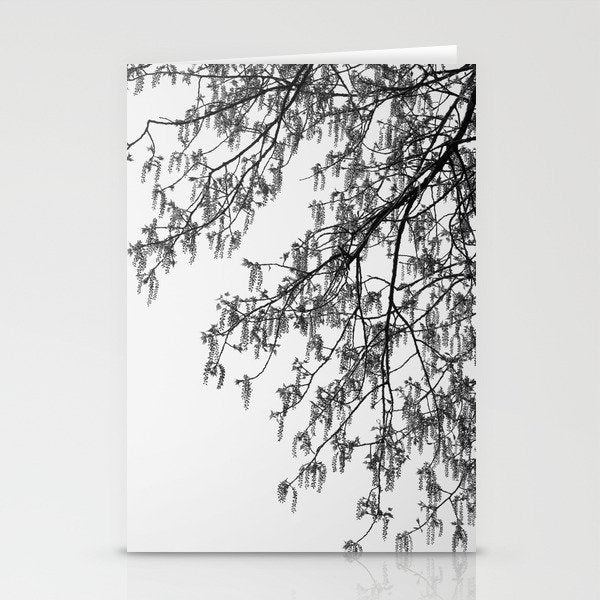 Wisteria Tree Art Print - Black and White Nature Photography Stationery Card Gallery Image 1