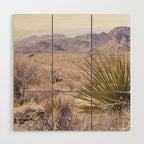 Big Bend National Park Sotol Overlook x West Texas Photography Wood Wall Art Gallery Image 1