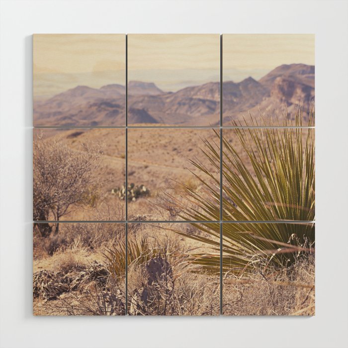 Big Bend National Park Sotol Overlook x West Texas Photography Wood Wall Art Gallery Image 1