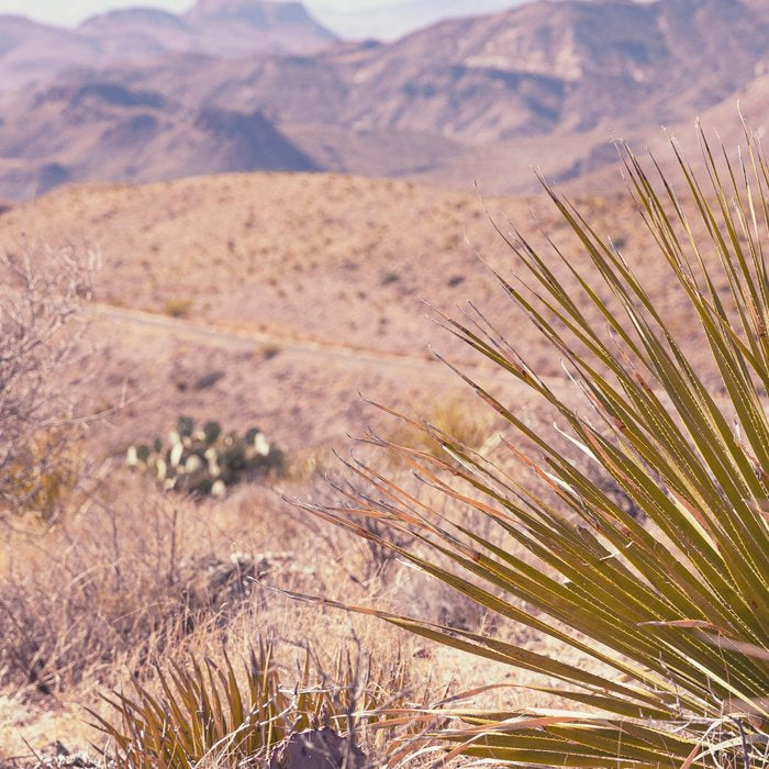 Big Bend National Park Sotol Overlook x West Texas Photography Coffee Mug Gallery Image 2