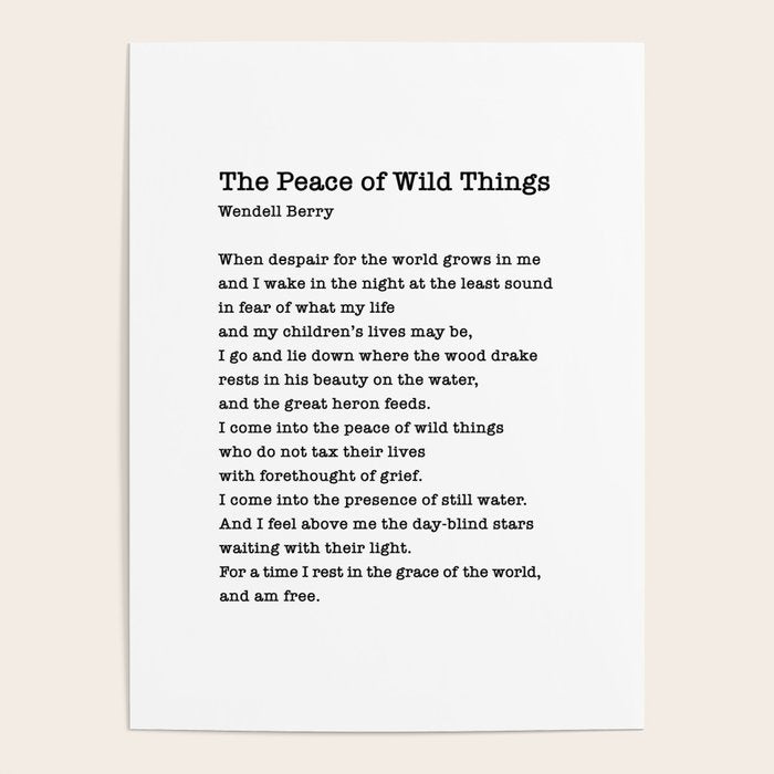 The Peace of Wild Things Poster Gallery Image 4
