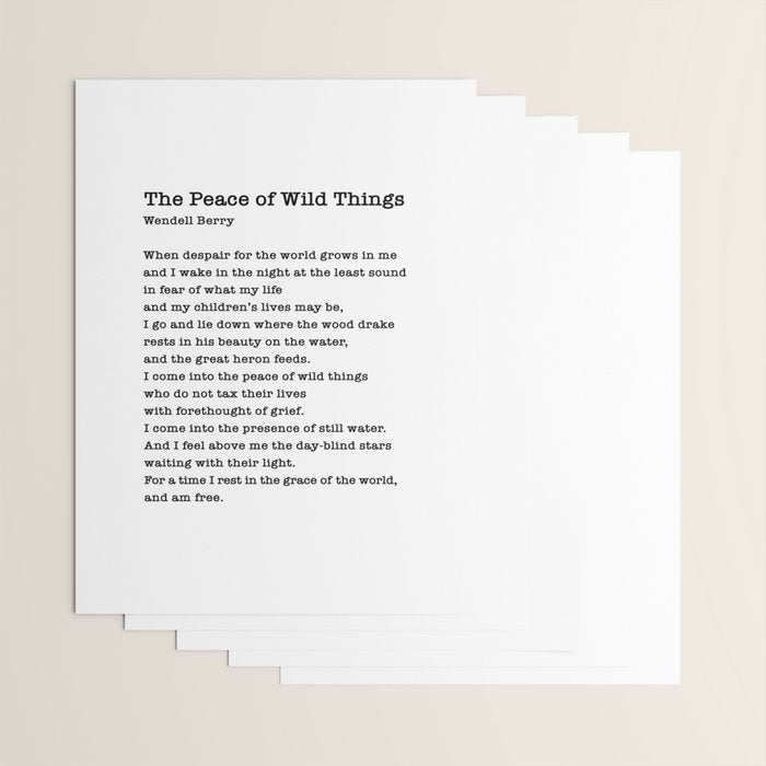 The Peace of Wild Things Wrapping Paper Gallery Image 3