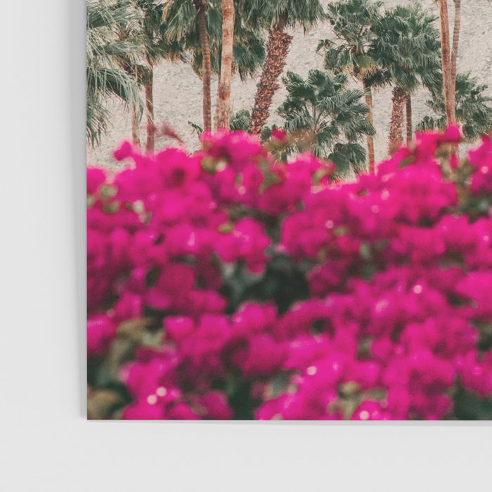 Edge of Palm Springs Poster Gallery Image 3