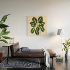 Maranta Lemon lime interior Plant Wood Wall Art Gallery Image 2