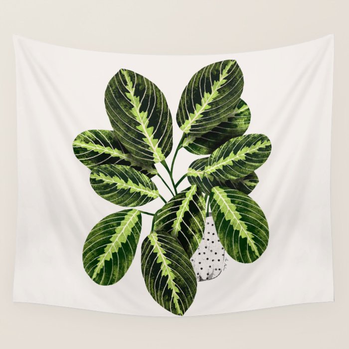 Maranta Lemon lime interior Plant Wall Tapestry Gallery Image 4