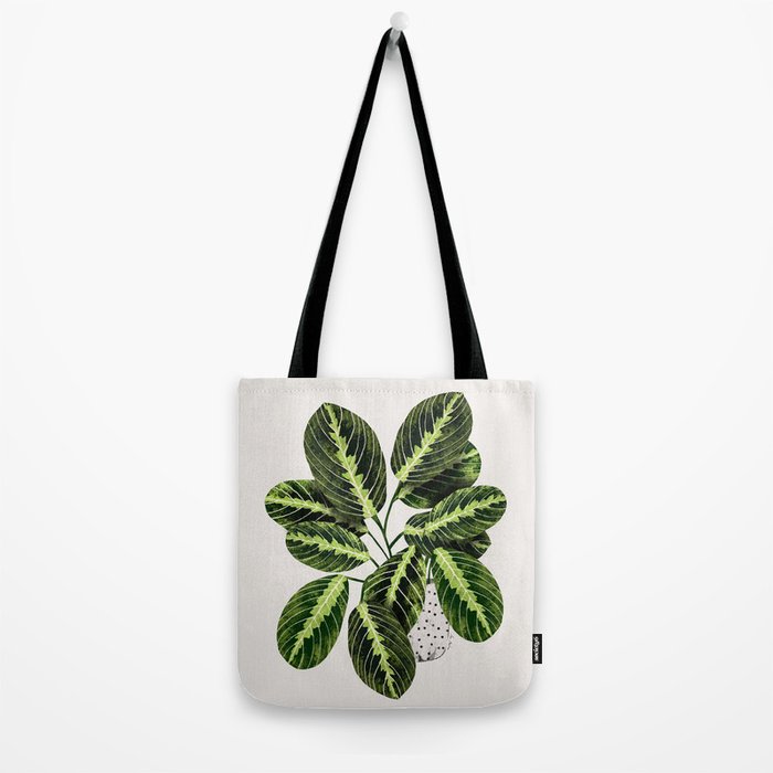 Maranta Lemon lime interior Plant Tote Bag Gallery Image 2