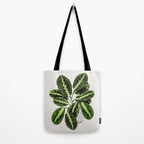 Maranta Lemon lime interior Plant Tote Bag Gallery Image 2