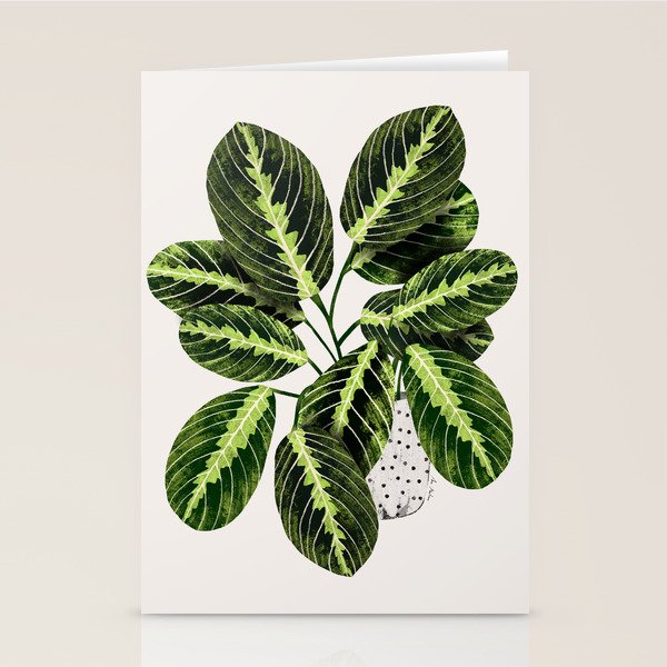 Maranta Lemon lime interior Plant Stationery Card Gallery Image 1