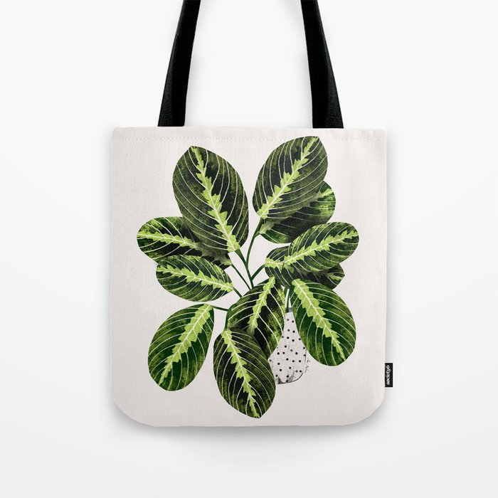 Maranta Lemon lime interior Plant Tote Bag Gallery Image 1