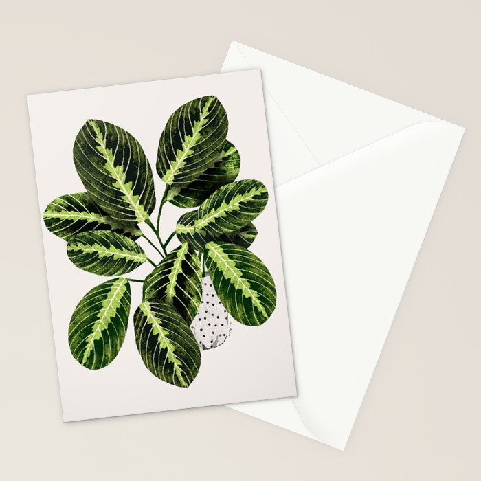 Maranta Lemon lime interior Plant Stationery Card Gallery Image 2