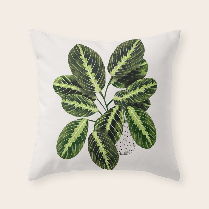 Maranta Lemon lime interior Plant Throw Pillow Gallery Image 6