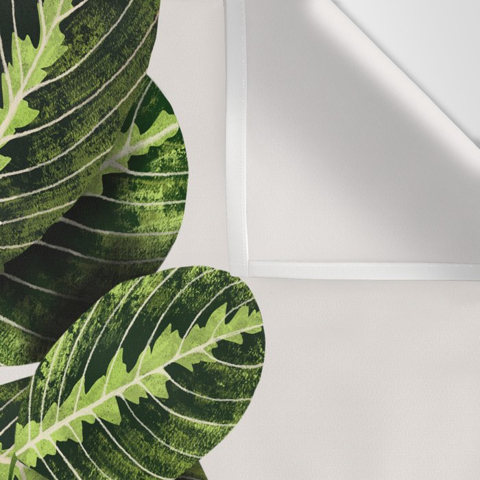 Maranta Lemon lime interior Plant Wall Tapestry Gallery Image 3
