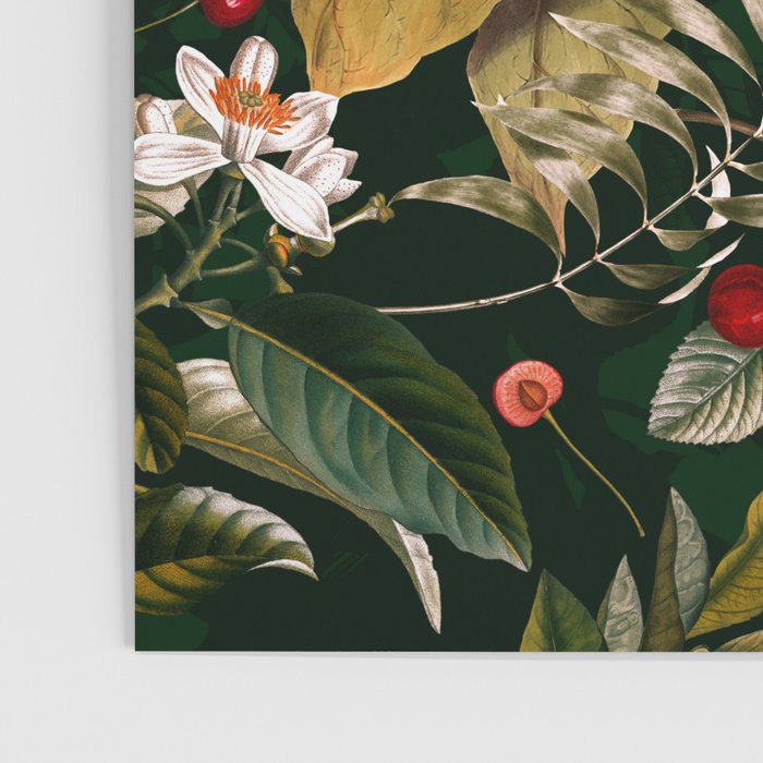 Floral and Birds XXV Poster Gallery Image 3