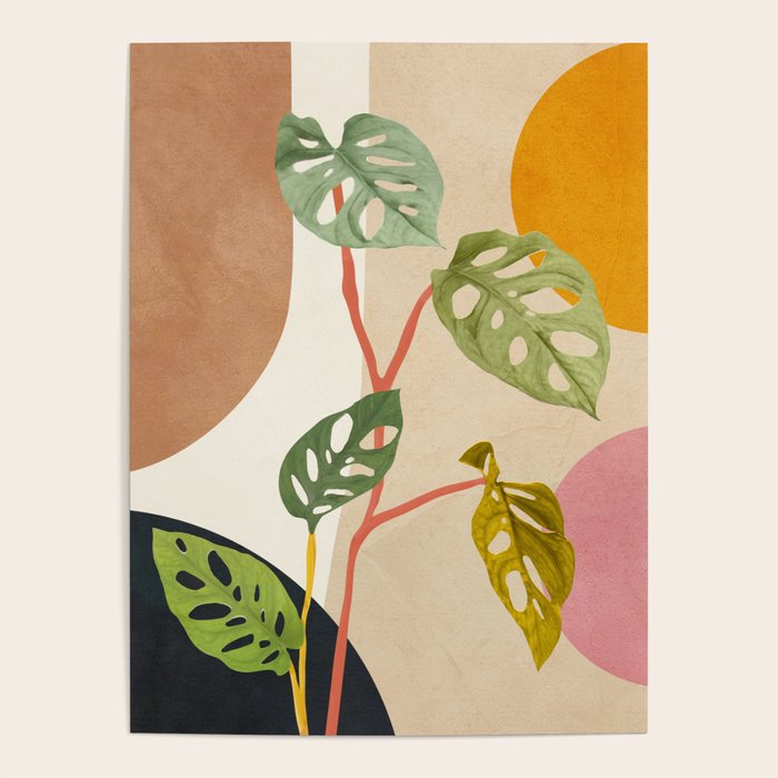 Monstera Obliqua 01 Poster Gallery Image 1