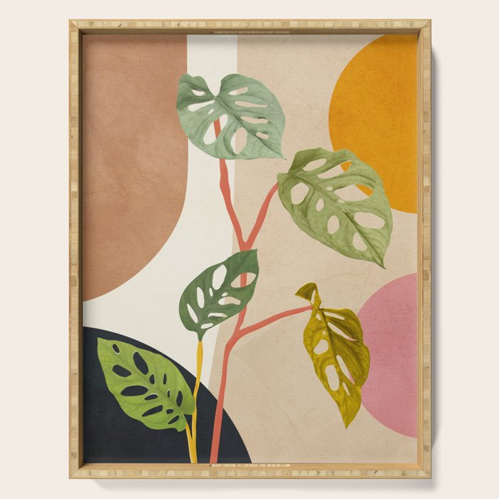 Monstera Obliqua 01 Serving Tray Gallery Image 1