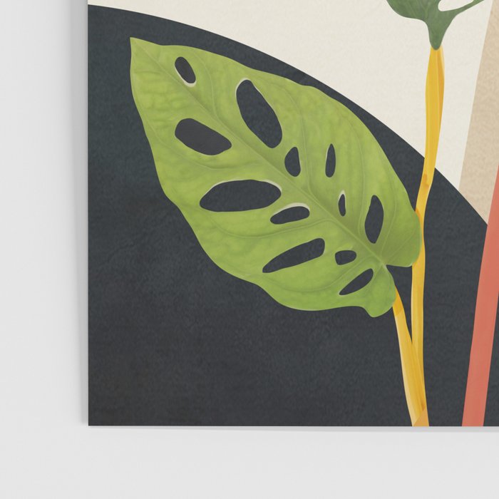Monstera Obliqua 01 Poster Gallery Image 3