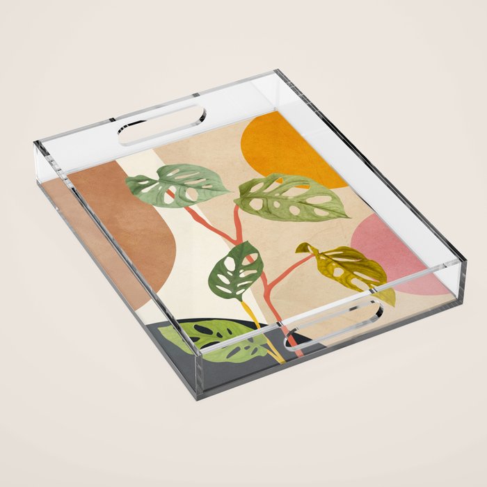 Monstera Obliqua 01 Acrylic Tray Gallery Image 1