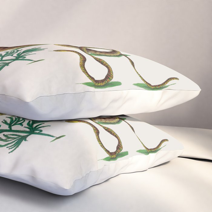 Albertus Seba Three Snakes Illustration Locupletissimi rerum naturalium thesauri accurata descriptio Pillow Sham Gallery Image 3