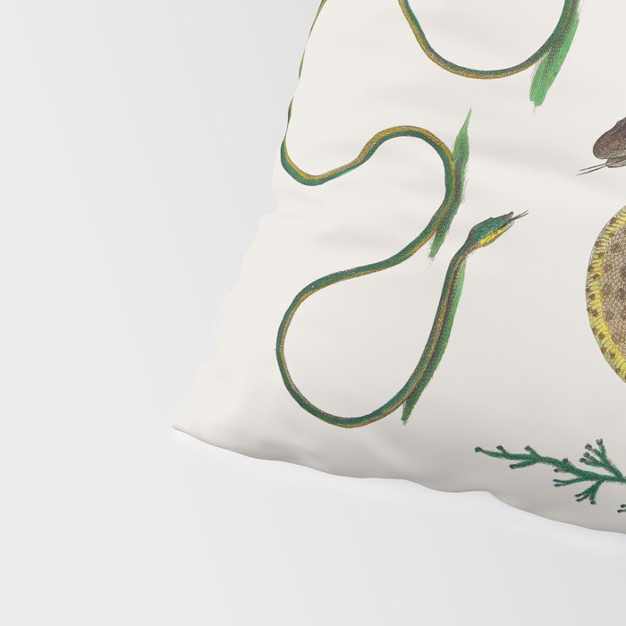 Albertus Seba Three Snakes Illustration Locupletissimi rerum naturalium thesauri accurata descriptio Pillow Sham Gallery Image 4