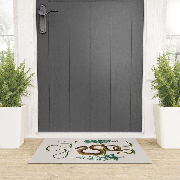 Albertus Seba Three Snakes Illustration Locupletissimi rerum naturalium thesauri accurata descriptio Welcome Mat Gallery Image 3