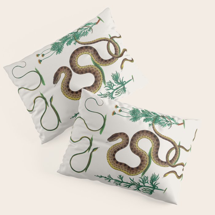 Albertus Seba Three Snakes Illustration Locupletissimi rerum naturalium thesauri accurata descriptio Pillow Sham Gallery Image 3