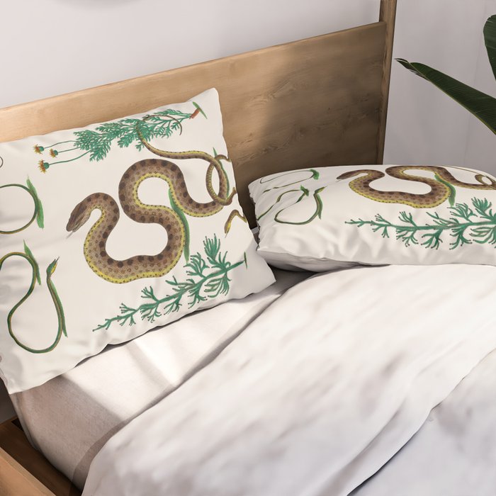 Albertus Seba Three Snakes Illustration Locupletissimi rerum naturalium thesauri accurata descriptio Pillow Sham Gallery Image 2