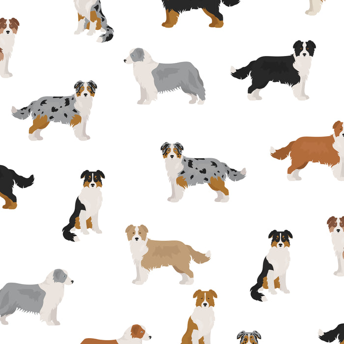 Australian Shepherd Colors Pattern Coffee Mug Gallery Image 2