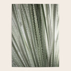 Yucca leaves pattern in sage green   Summer nature and travel photography Poster Gallery Image 4