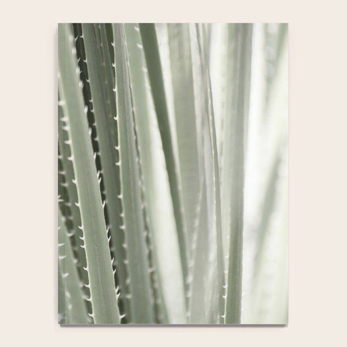 Yucca leaves pattern in sage green   Summer nature and travel photography Notebook Gallery Image 4