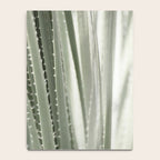 Yucca leaves pattern in sage green   Summer nature and travel photography Notebook Gallery Image 4