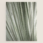 Yucca leaves pattern in sage green   Summer nature and travel photography Jigsaw Puzzle Gallery Image 1