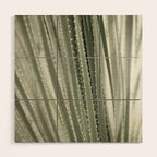 Yucca leaves pattern in sage green   Summer nature and travel photography Wood Wall Art Gallery Image 1
