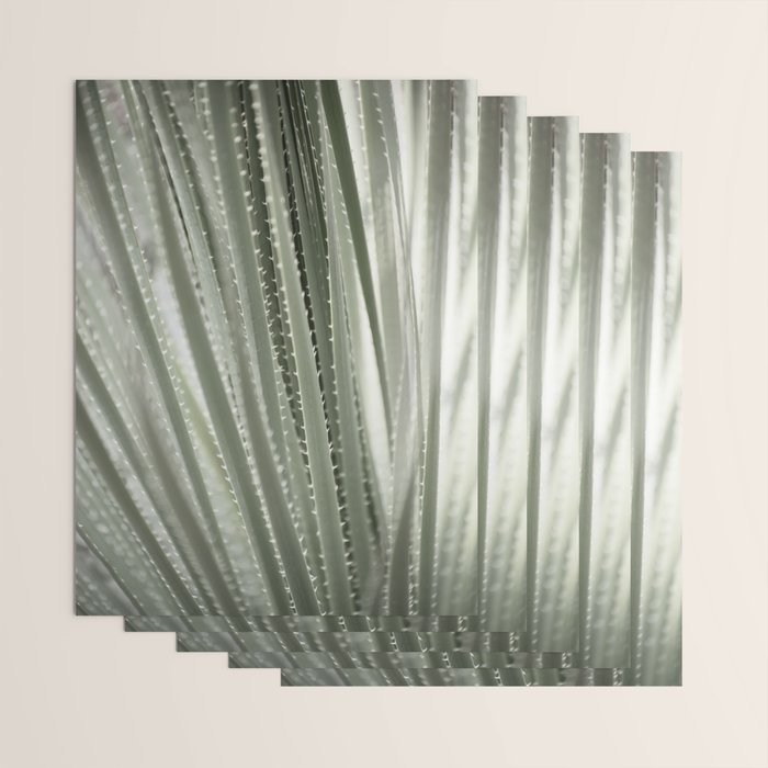 Yucca leaves pattern in sage green   Summer nature and travel photography Wrapping Paper Gallery Image 3