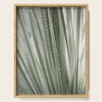 Yucca leaves pattern in sage green   Summer nature and travel photography Serving Tray Gallery Image 1