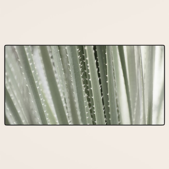 Yucca leaves pattern in sage green   Summer nature and travel photography Desk Mat Gallery Image 3