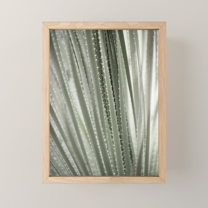 Yucca leaves pattern in sage green   Summer nature and travel photography Mini Art Print Gallery Image 1