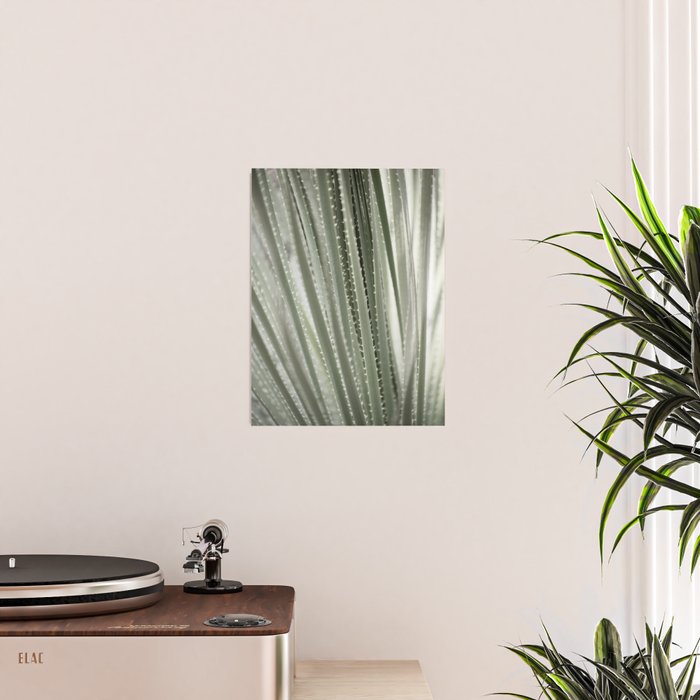 Yucca leaves pattern in sage green   Summer nature and travel photography Poster Gallery Image 2