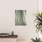Yucca leaves pattern in sage green   Summer nature and travel photography Poster Gallery Image 2