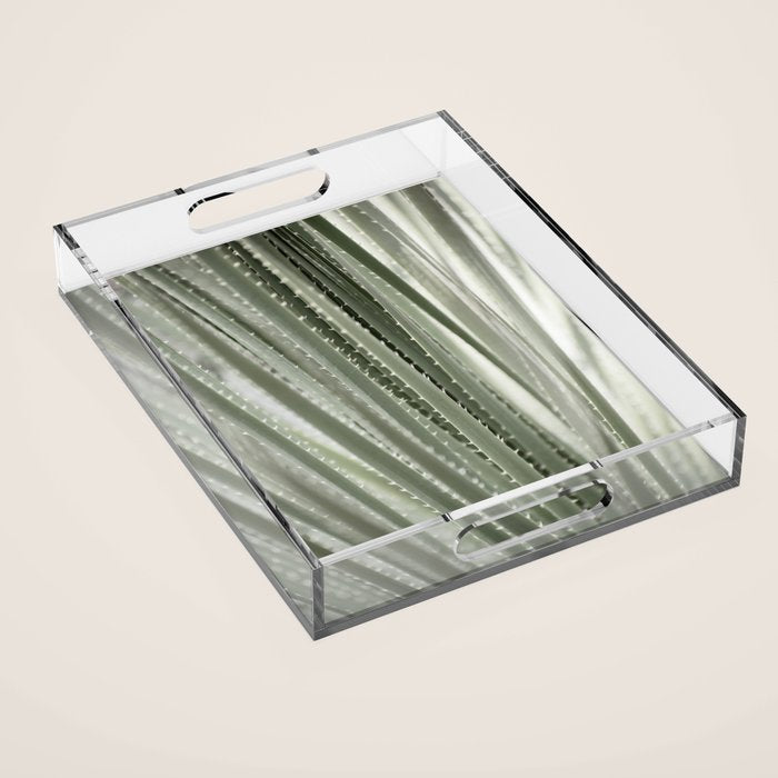 Yucca leaves pattern in sage green   Summer nature and travel photography Acrylic Tray Gallery Image 1