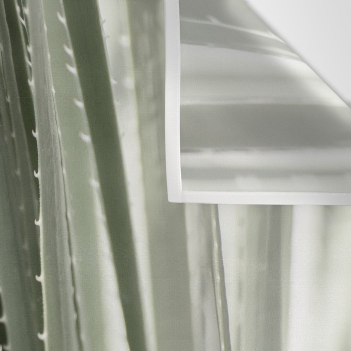 Yucca leaves pattern in sage green   Summer nature and travel photography Wall Tapestry Gallery Image 3