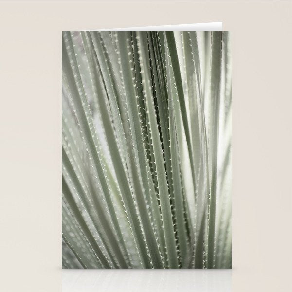 Yucca leaves pattern in sage green   Summer nature and travel photography Stationery Card Gallery Image 1