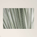 Yucca leaves pattern in sage green   Summer nature and travel photography Welcome Mat Gallery Image 1